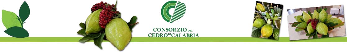 Il Consorzio del Cedro su RivieraSì.it 